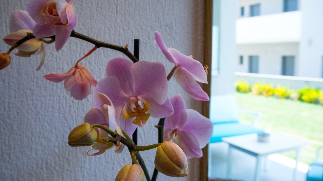 Costa Domus Blue Luxury Apartments 尼基季 外观 照片