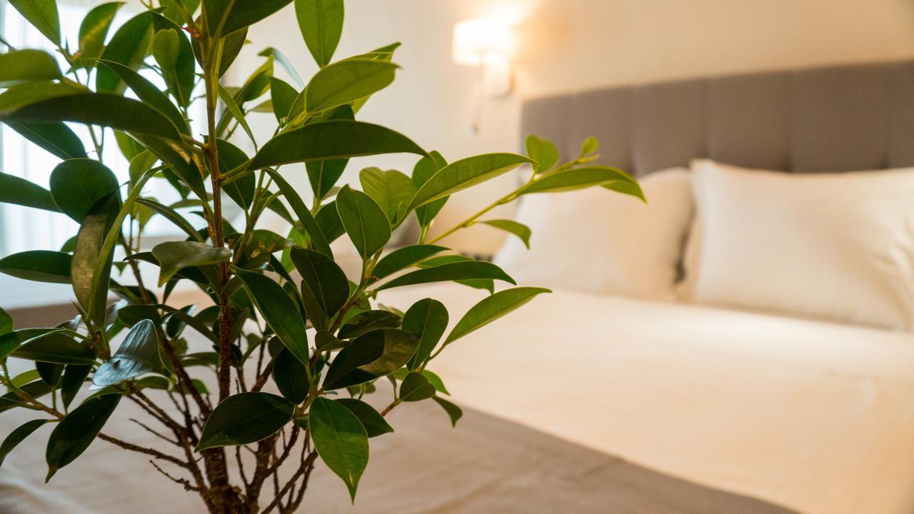 Costa Domus Blue Luxury Apartments 尼基季 外观 照片